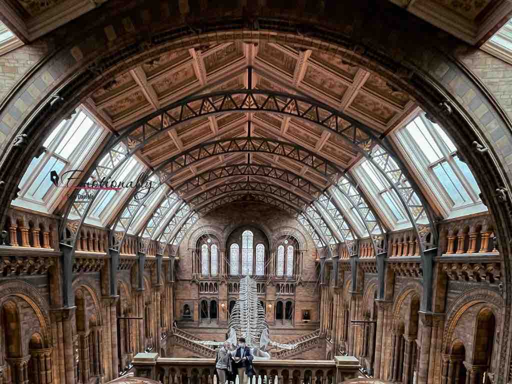 Natural History Museum Londra